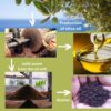 The olive oil industry in the Mediterranean region: from waste to resource!