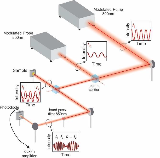 schéma du banc optique developpé au LEMTA